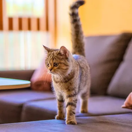 Stefaniya Апартамент