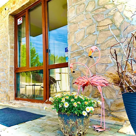 Stefaniya Apartament *