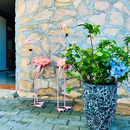 Apartment Stefaniya *